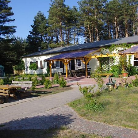 Hostel Waldhaus Am Ferienpark Mirow -Zimmer Du Wc المظهر الخارجي الصورة